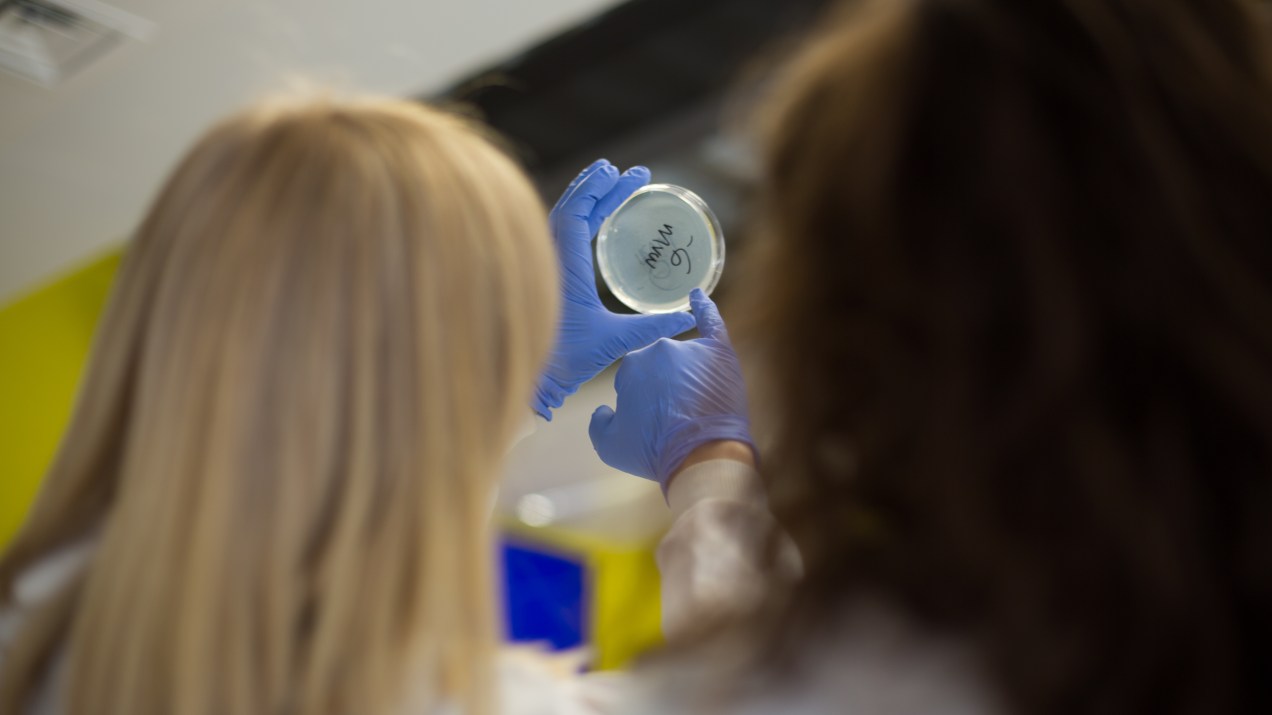 Lancaster University